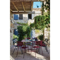 Bridge Monceau Cerise Noire 9 Bridge Monceau Cerise Noire -Promos Le Jardin Vivant Magasin 1044743 2039920