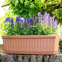 Balconnière Vénézia Cotto L.53xl.20 X H.17 Cm -Promos Le Jardin Vivant Magasin 1053548 2001053