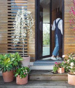 Cuvier Contemporain En Terre Cuite Ø 29 X H. 29cm 9 Cuvier Contemporain En Terre Cuite Ø 29 X H. 29cm -Promos Le Jardin Vivant Magasin 340890 006