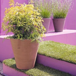 Cuvier Contemporain En Terre Cuite Ø 39 X H. 38cm -Promos Le Jardin Vivant Magasin 340891 003