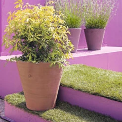 Cuvier Contemporain En Terre Cuite Ø 47 X H. 48cm -Promos Le Jardin Vivant Magasin 340892 005