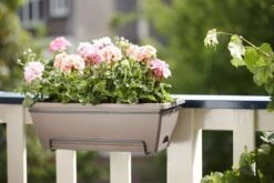 Elho Jardinière Barcelona En Plastique Taupe - L50cm -Promos Le Jardin Vivant Magasin 538988 003