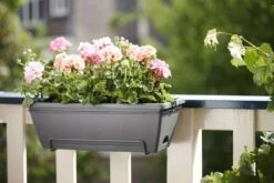 Elho Jardinière "Barcelona" En Plastique Gris Anthracite - L50cm -Promos Le Jardin Vivant Magasin 538989 003