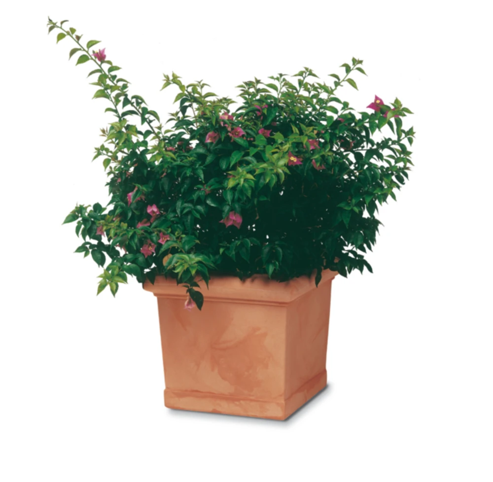 Pot Plastique, Parfaite Imitation Poterie En Terre Cuite 50 X 50 H43 (65 Litres) 3 Pot Plastique, Parfaite Imitation Poterie En Terre Cuite 50 X 50 H43 (65 Litres)