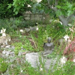 Statuette Bouddha Appel De La Terre à Témoin 30 Cm - Gris Anthracite 30 Cm -Promos Le Jardin Vivant Magasin 64242fcf3a1b02.61101940