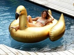 Cygne Gonflable "gold"