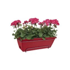 Elho Jardinière Barcelona En Plastique Rouge - 50x28,6x21,4 Cm -Promos Le Jardin Vivant Magasin 644362 004