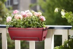 Elho Jardinière Barcelona En Plastique Rouge - 50x28,6x21,4 Cm -Promos Le Jardin Vivant Magasin 644362 005