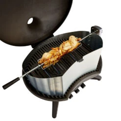 Rôtissoire électrique Grande Pour Morso Forno Gas Grande 9 Rôtissoire électrique Grande Pour Morso Forno Gas Grande -Promos Le Jardin Vivant Magasin 6447c8a39533e5.38998094