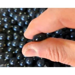 Colombo Bacto Balls 500ml (5000 L) -Promos Le Jardin Vivant Magasin 64496bd60b9750.72132563