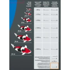 Sf Koi Pro Fish Feeder -Promos Le Jardin Vivant Magasin 64496f0e8b29c8.89650195