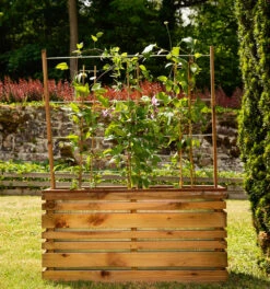 Bac à Fleurs Avec Treillis Lign Z 8 Bac à Fleurs Avec Treillis Lign Z -Promos Le Jardin Vivant Magasin 645b8bdd7a0230.26493431