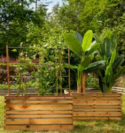 Bac à Fleurs Avec Treillis Lign Z 9 Bac à Fleurs Avec Treillis Lign Z -Promos Le Jardin Vivant Magasin 645b8bdd7ed898.71230344