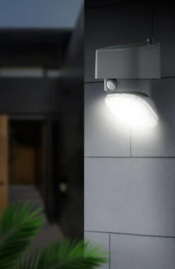 Promos Le Jardin Vivant Magasin -Promos Le Jardin Vivant Magasin 645b8d2267abe9.85532141