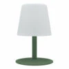Lampe De Table Sans Fil Led Standy Mini Vert Acier H25cm -Promos Le Jardin Vivant Magasin 645d643e8695c3.23081404