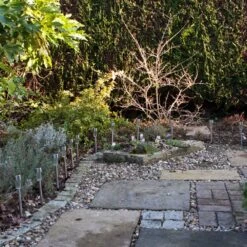 LuxForm Poteau Solaire D'éclairage Siena 8 Pcs Argenté -Promos Le Jardin Vivant Magasin 645e8731e1c9e2.18177176