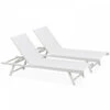Lot De 2 Bains De Soleil En Acier Blanc -Promos Le Jardin Vivant Magasin 646e0114f384a0.17328506
