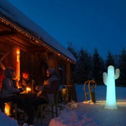 Lampadaire Cactus Pancho Batterie Rechargeable Led Rgb Avec Télécommande Hauteur 140cm -Promos Le Jardin Vivant Magasin 646f52554e2c45.32819627