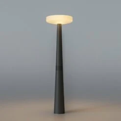 Lampadaire Solaire Paquita Lumière Blanche Froide 3 Modes Détecteur De Mouvement Et Crépusculaire ø59,2x214,5 Cm 10 Lampadaire Solaire Paquita Lumière Blanche Froide 3 Modes Détecteur De Mouvement Et Crépusculaire ø59,2x214,5 Cm -Promos Le Jardin Vivant Magasin 646f52575429e5.00211482