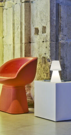 Promos Le Jardin Vivant Magasin -Promos Le Jardin Vivant Magasin 646fa67525b0b1.78475780