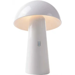 Lampe De Jardin Sur Batterie Shitake