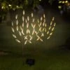 HI Arbuste à Lumière Solaire Led 50 Cm Transparent Et Marron 2 HI Arbuste à Lumière Solaire Led 50 Cm Transparent Et Marron -Promos Le Jardin Vivant Magasin 64789036590030.39983777