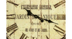 Grande Horloge Ancienne Murale Jardin Botanique 70cm - Fer - Blanc 11 Grande Horloge Ancienne Murale Jardin Botanique 70cm - Fer - Blanc -Promos Le Jardin Vivant Magasin 6479de2aa47153.77273490