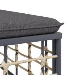 VIDAXL Salon De Jardin 9 Pcs Avec Coussins Anthracite Résine Tressée -Promos Le Jardin Vivant Magasin 6480d2987f7e27.90282081