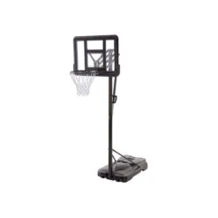 Panier De Basket 2.30 M à 3.05 M Professional Dunk