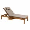 Bain De Soleil Avec Coussin Et Tablette En Bois Taupe -Promos Le Jardin Vivant Magasin 6496c96eedc304.73044786