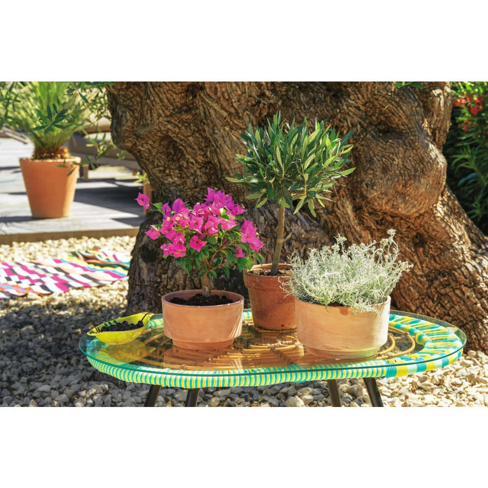 Terrine En Terre Cuite D 21 X H. 13cm 4 Terrine En Terre Cuite D 21 X H. 13cm – Image 2