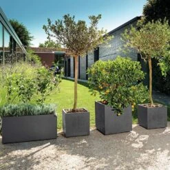 Pot Cube Millenium Plastique Réserve D'eau & Roulettes Anthracite 49cm -Promos Le Jardin Vivant Magasin 814656 008
