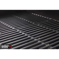 Weber Barbecue à Gaz à 2 Brûleurs SPIRIT PREMIUM E-215 GBS Noir - 32 Kg -Promos Le Jardin Vivant Magasin 884411 005