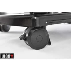 Weber Barbecue à Gaz à 2 Brûleurs SPIRIT PREMIUM E-215 GBS Noir - 32 Kg -Promos Le Jardin Vivant Magasin 884411 007