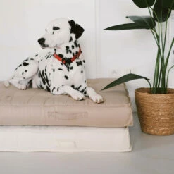 Coussin De Sol Ou D'assise Matelassé Polyester Taupe 120 X 80 X 12cm -Promos Le Jardin Vivant Magasin 8b5144f20b6da04e