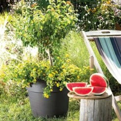 Pot Vaso Save R à Réserve D'eau En Plastique Anthracite Ø29cm -Promos Le Jardin Vivant Magasin 907979 004