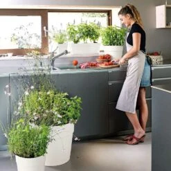 Pot Vaso Save R à Réserve D'eau En Plastique Bianco Ø29cm -Promos Le Jardin Vivant Magasin 907981 003