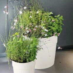 Pot Vaso Save R à Réserve D'eau En Plastique Bianco Ø29cm -Promos Le Jardin Vivant Magasin 907981 005