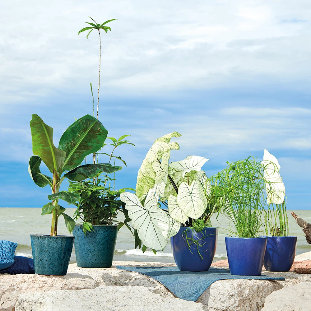 Pot Vaso Azulejos En Terre Cuite émaillée - 6 Finitions - Ø22,5cm 4 Pot Vaso Azulejos En Terre Cuite émaillée - 6 Finitions - Ø22,5cm – Image 2