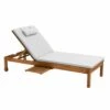 Bain De Soleil Avec Coussin Et Tablette En Bois écru -Promos Le Jardin Vivant Magasin e517000549b1d805